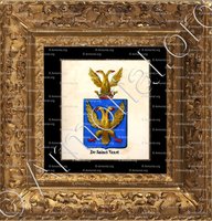 cadre-ancien-or-DE SAINCT VAAST_Armorial royal des Pays-Bas_Europe