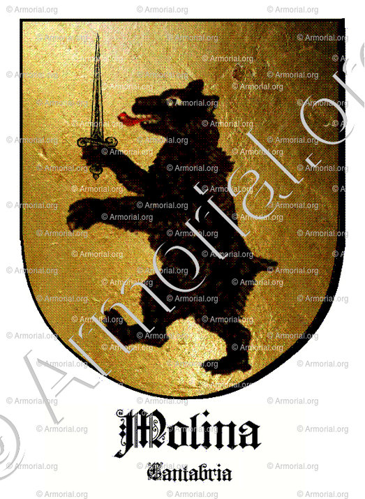 MOLINA_Cantabria_España (i)