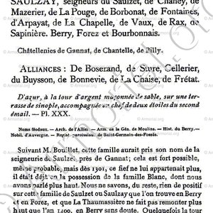 Du SAULZET ou de SAULZET_Armorial du Bourbonnais (Cte G. de Soultrait, 1890)_France (5)