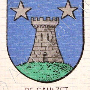 Du SAULZET ou de SAULZET_Armorial du Bourbonnais (Cte G. de Soultrait, 1890)_France (8)