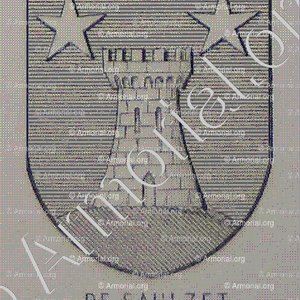 Du SAULZET ou de SAULZET_Armorial du Bourbonnais (Cte G. de Soultrait, 1890)_France (3)