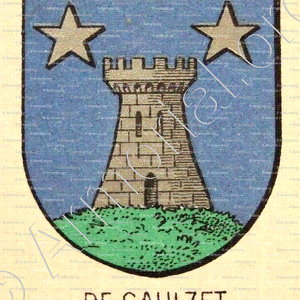 Du SAULZET ou de SAULZET_Armorial du Bourbonnais (Cte G. de Soultrait, 1890)_France (7)