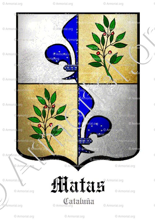 MATAS_Cataluña_España (2)