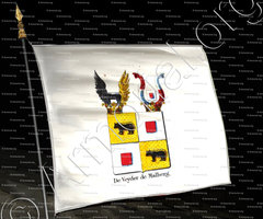 drapeau-DE VEYDER DE MALBERG_Armorial royal des Pays-Bas_Europe