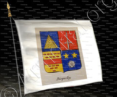 drapeau-BICQUELLEY_Noblesse d'Empire._France