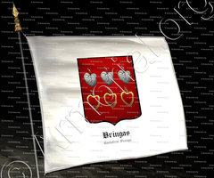 drapeau-BRINGAS_Cantabria, Vizcaya._España (2)