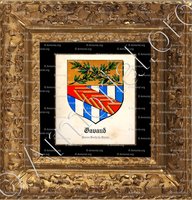 cadre-ancien-or-GAVAND_Armorial et Nobiliaire de l'Ancien Duché de Savoie (Cte de Foras, 1863)._États de Savoie (1)