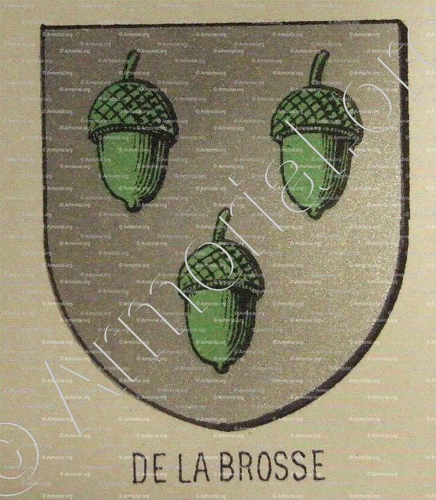 de LA BROSSE_Bourbonnais_France