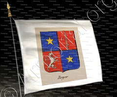 drapeau-BOYER_Noblesse d'Empire._France(i)