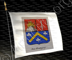 drapeau-BRICE MONTIGNY_Noblesse d'Empire._France