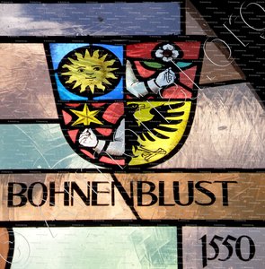 BOHNENBLUST