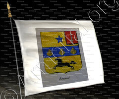 drapeau-BRUNET_Noblesse d'Empire._France