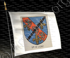 drapeau-de LIGNY_Seigneurs de Ligny_Bourbonnais