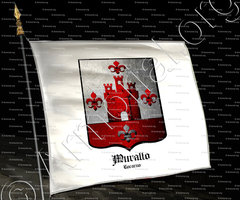 drapeau-MURALTO_Locarno_Svizzeria (i)