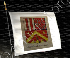 drapeau-CHAPELAIN DU BROSSERON_Noblesse d'Empire._France