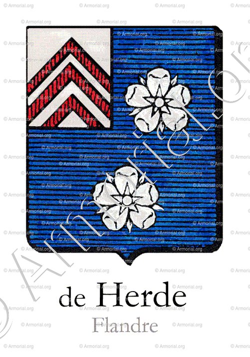 HERDE (de)_Flandre_Belgique (3)