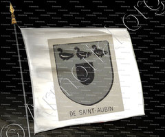 drapeau-de SAINT AUBIN_Bourbonnais_France