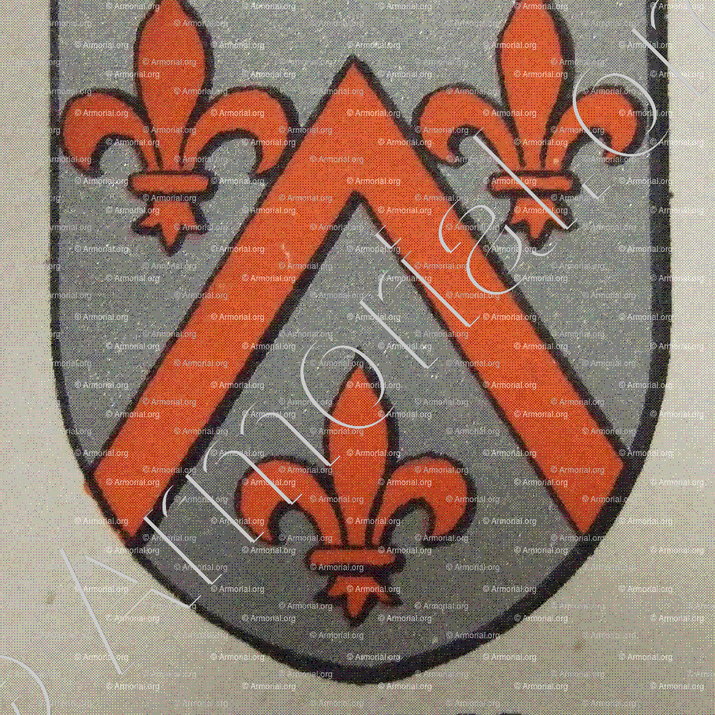 de VIEURE alias de LA SALLE de VIEURE_Bourbonnais_France  (1)