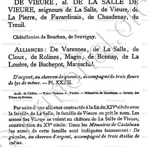 de VIEURE alias de LA SALLE de VIEURE_Bourbonnais_France  (4)