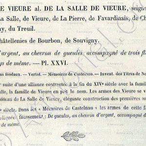 de VIEURE alias de LA SALLE de VIEURE_Bourbonnais_France  (6)