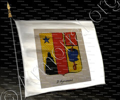 drapeau-D'AIGREMONT_Noblesse d'Empire._France