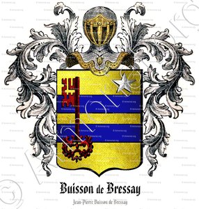 BUISSON de BRESSAY