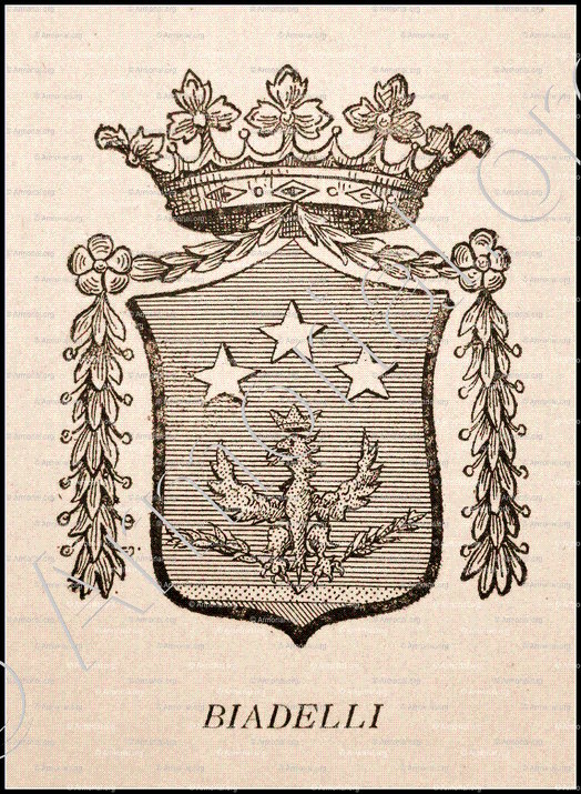 BIADELLI_Corse. Armorial Corse, 1892._France (1)