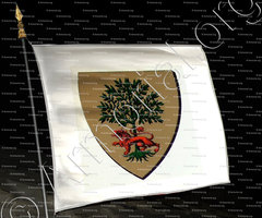 drapeau-LOUYS de MONTGEX_Ancien Duché de Savoie_États de Savoie