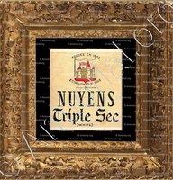 cadre-ancien-or-NUYENS_Triple Sec._Unired States of America