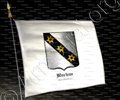 drapeau-MARTENS_Oost-Vlanderen_Belgïe (2)