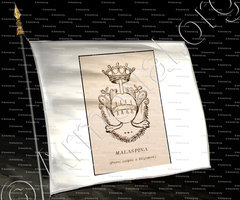 drapeau-MALASPINA_Corse. Armorial Corse, 1892._France (1)