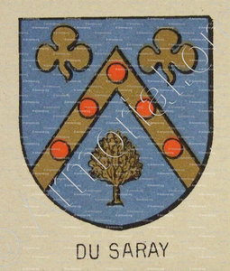 Du SARAY