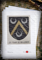 velin-d-Arches-du TOUR de BELLENAVE_Bourbonnais_France