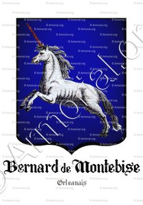 BERNARD de MONTEBISE