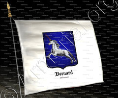 drapeau-BERNARD_Orléanais_France (2)