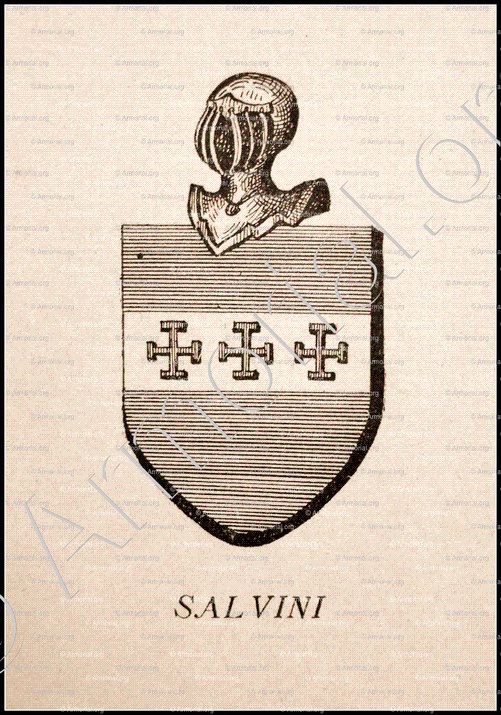 SALVINI_Corse. Armorial Corse, 1892._France (1)