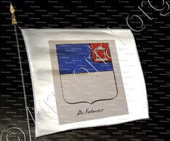 drapeau-DE SALUCES_Noblesse d'Empire._France