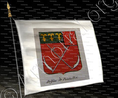 drapeau-DELFAU DE PONTALBA_Noblesse d'Empire._France