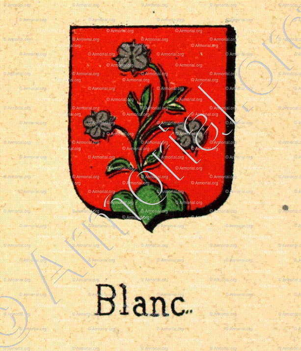 BLANC_Livre d'Or du Canton de Fribourg (Freiburg). (Alfred Raemy, 1898)_Schweiz Suisse Svizzera Switz