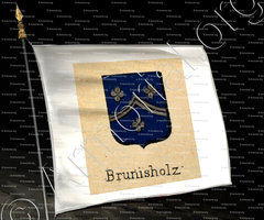 drapeau-BRUNISHOLZ_Livre d'Or du Canton de Fribourg (Freiburg). (Alfred Raemy, 1898)_Schweiz Suisse Svizzera Switz