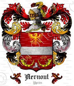 AERNOUT