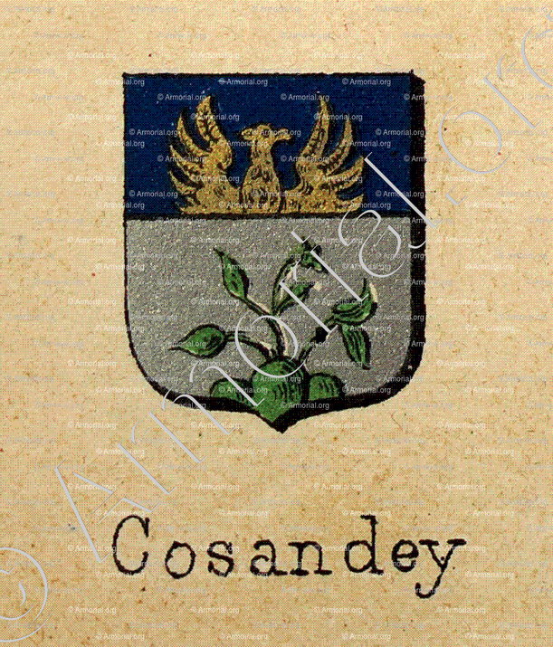 COSANDEY_Livre d'Or du Canton de Fribourg (Freiburg). (Alfred Raemy, 1898)_Schweiz Suisse Svizzera Switz