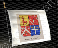 drapeau-DUMAS DE POLARD_Noblesse d'Empire._France