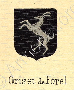 GRISET de FOREL