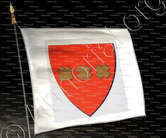 drapeau-MIONNAS (DE)_Ancien Duché de Savoie_États de Savoie