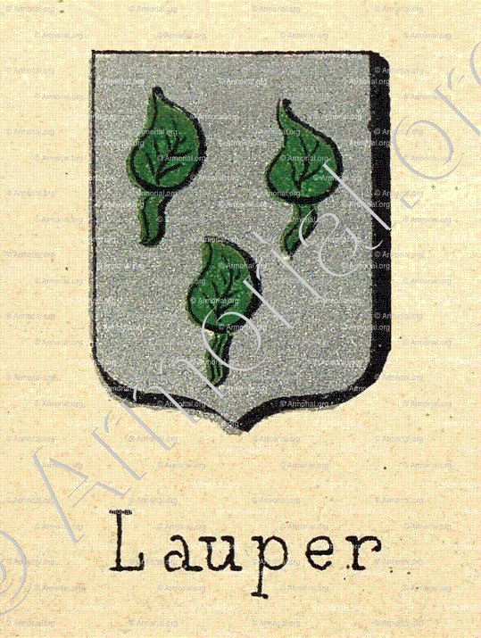 LAUPER_Livre d'Or du Canton de Fribourg (Freiburg). (Alfred Raemy, 1898)_Schweiz Suisse Svizzera Switz. (3)