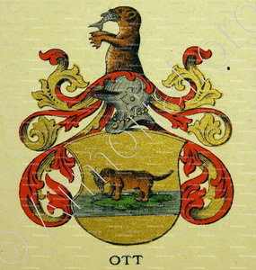 OTT