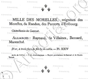 MILLE des MORELLES_Bourbonnais_France (5)