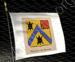 drapeau-HENRION DE PANSEY_Noblesse d'Empire._France