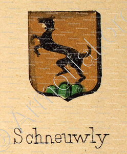 SCHNEUWLY